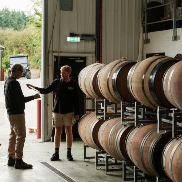 Sandridge Barton - Winery Project