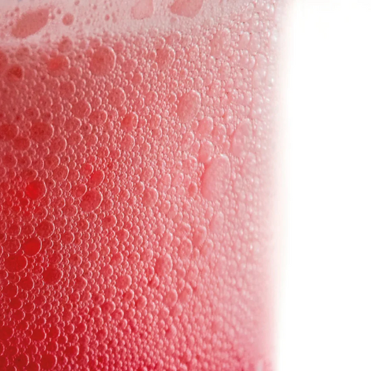 Carbonating Know-How: How to Carbonate Drinks