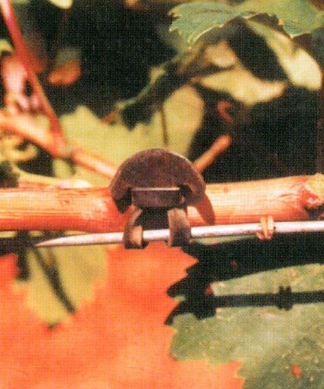 Ancorfix tying bands