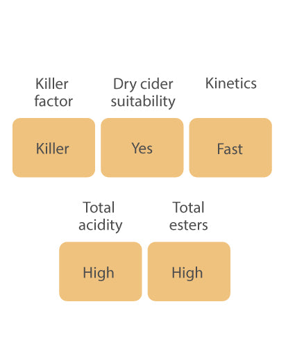 SafCider AC-4 BIO yeast