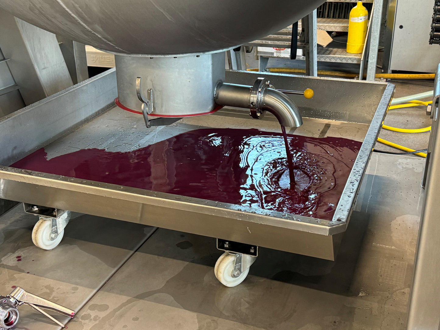 Wine being drained from the Willmes Sphera pneumatic press