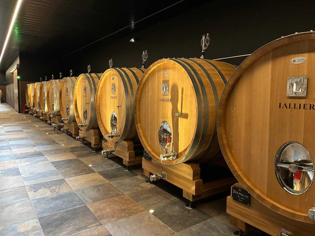 A line of oak barrels for wine by Tonnelleire Rousseau