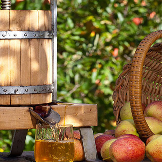 Orchard scene with an apple juice press and basket of apples