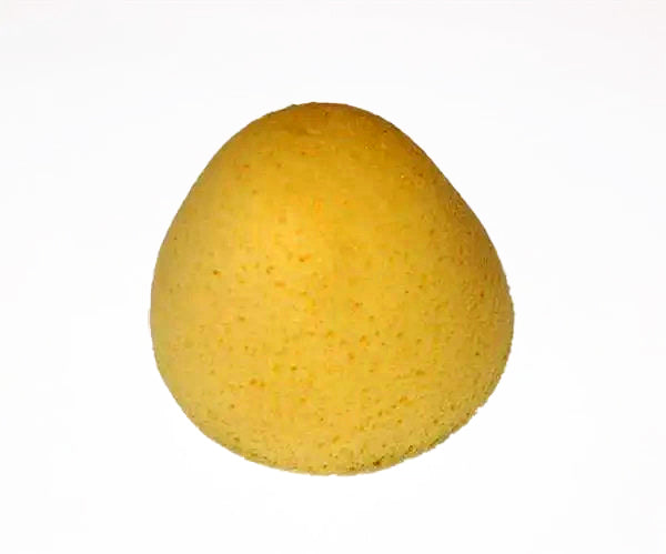 Conical sponge for external bottle wiper/drier