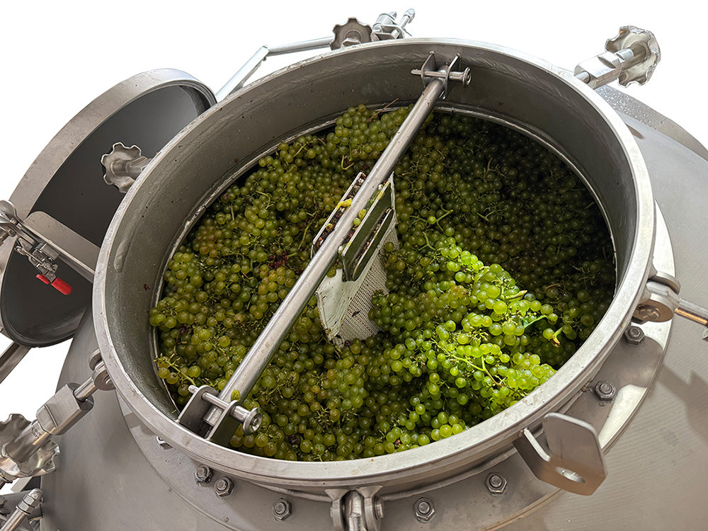 Green grapes being loaded into the Willmes Sphera grape press for wine production. 