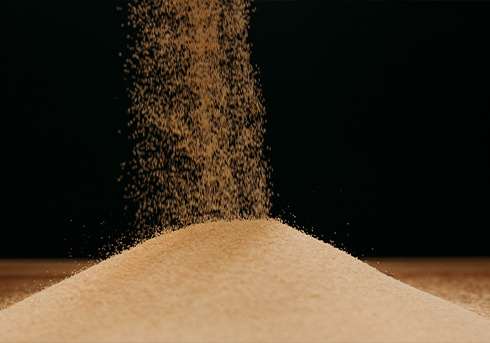 Fermentis yeast on table